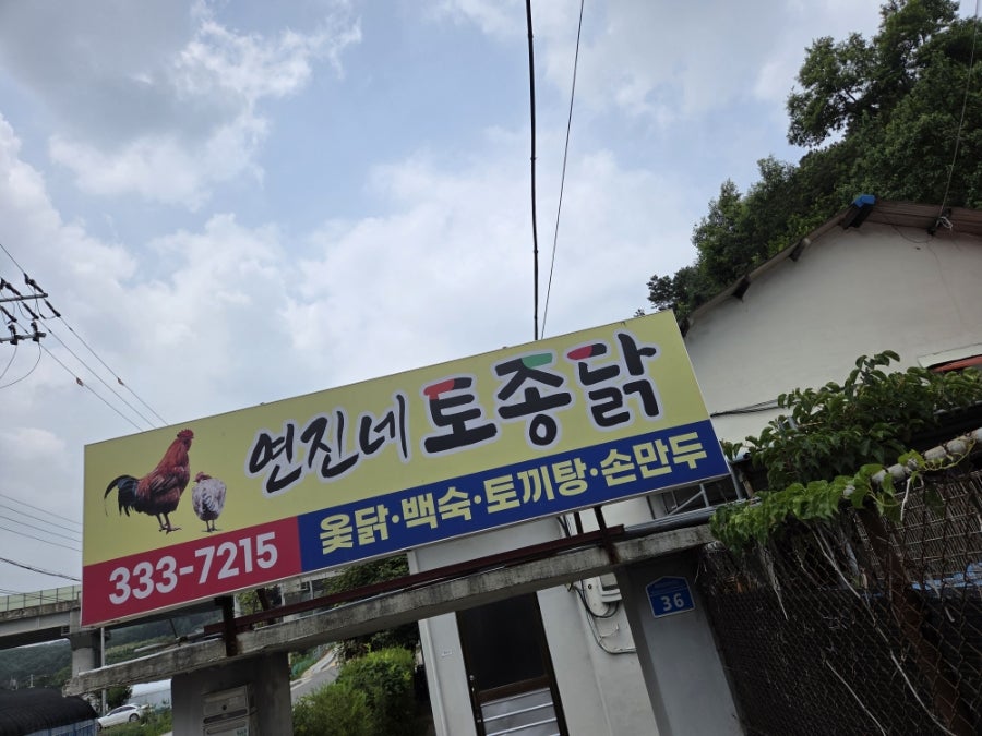 연진네토종닭 사진 2