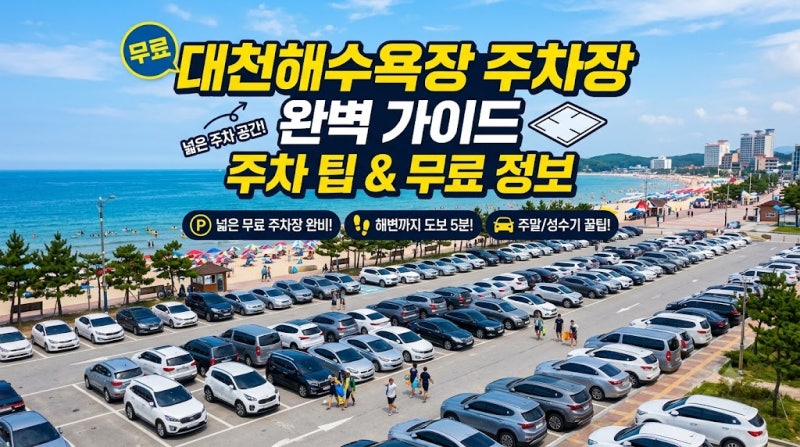 2026 대천해수욕장 주차장 무료·유료 위치, 주말 어디에 세울까