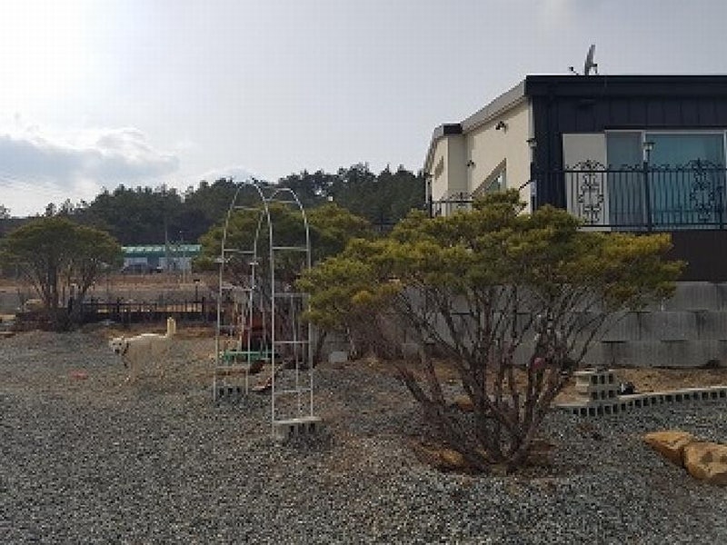 대구지방법원 의성지원 군위군법원 사진 5