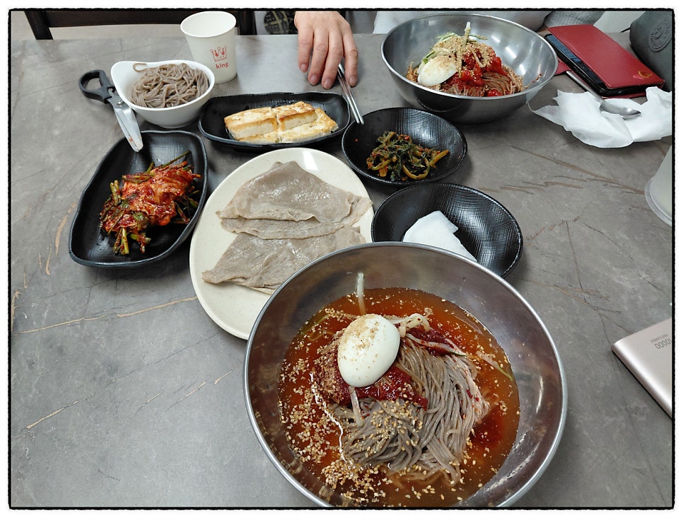 솔밭 사진 5