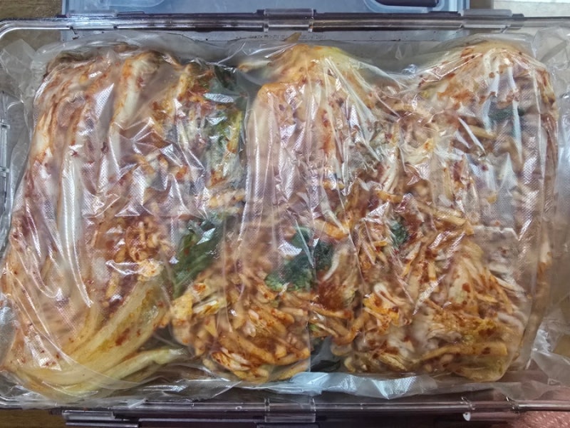 여름배추 김치 2포기 담그기, 아삭하고 짜지 않게 성공한 황금레시피