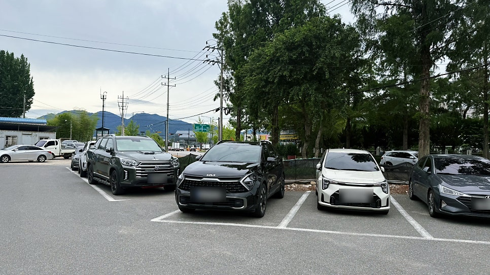 참사랑해물칼국수 사진 1