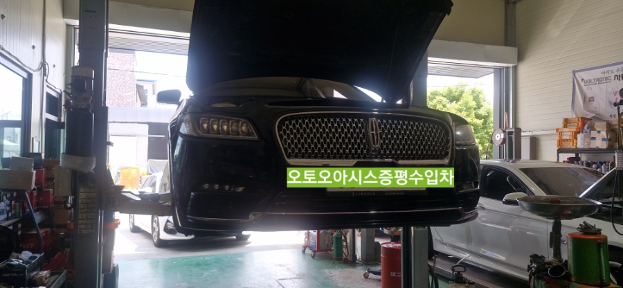 오아시스 사진 3