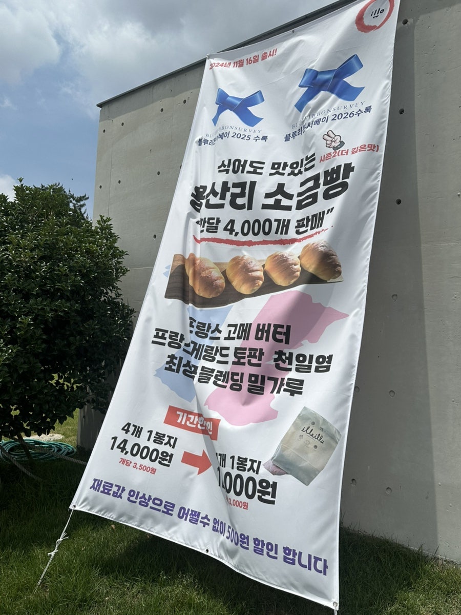 일로일로 사진 2