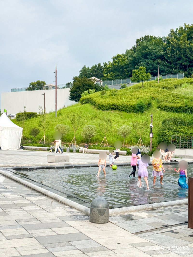 북서울꿈의숲 물놀이 운영시간 총정리｜놀이터·사슴방사장 이용 시간까지