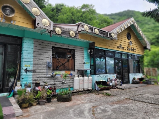 잠비 사진 2