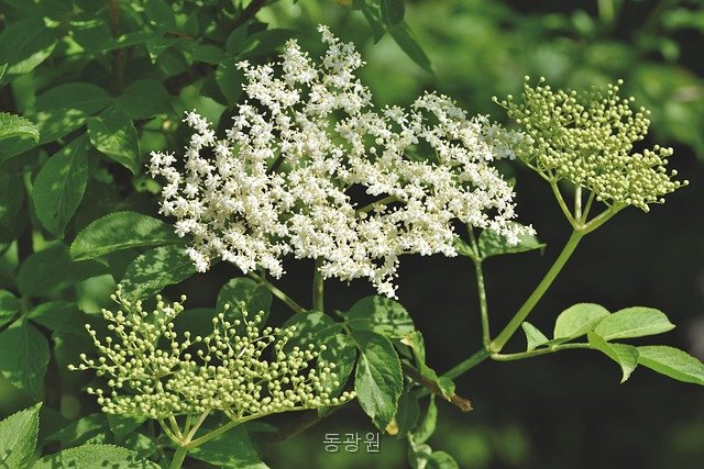 동광원 사진 3