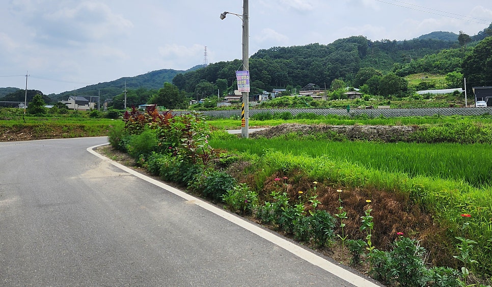 목골식당 사진 2