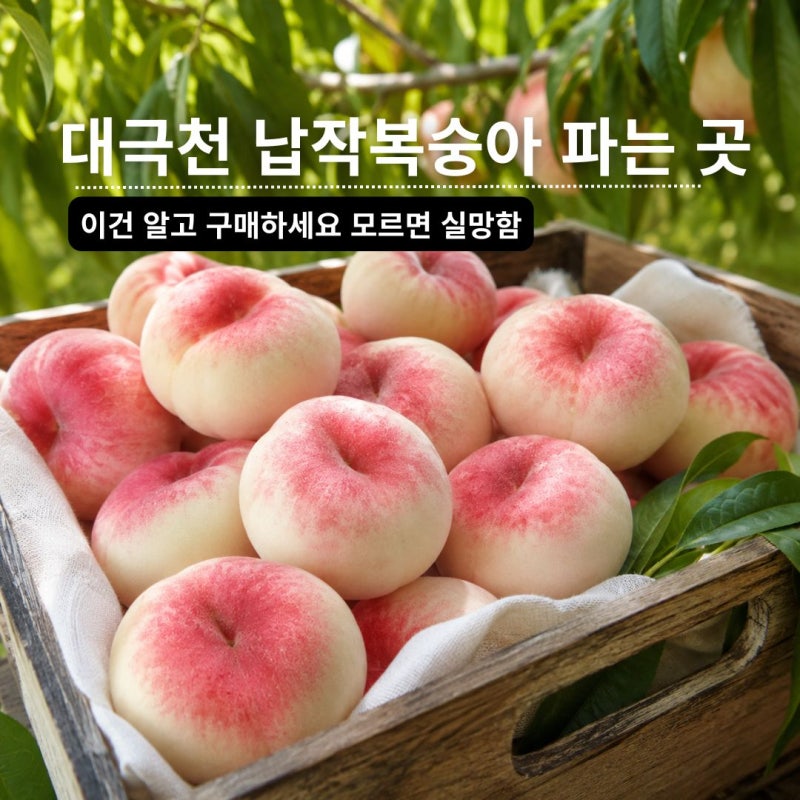 대극천 납작복숭아 파는 곳 구매 전 이건 꼭 알아야합니다