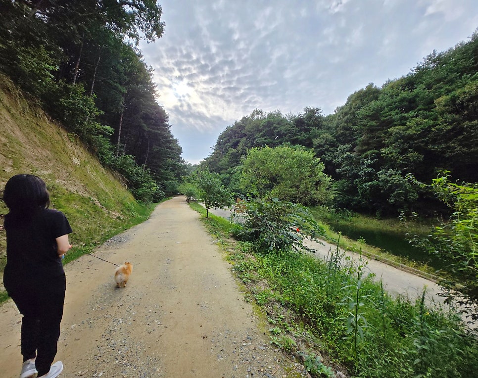 횡성리버뷰펜션 사진 2