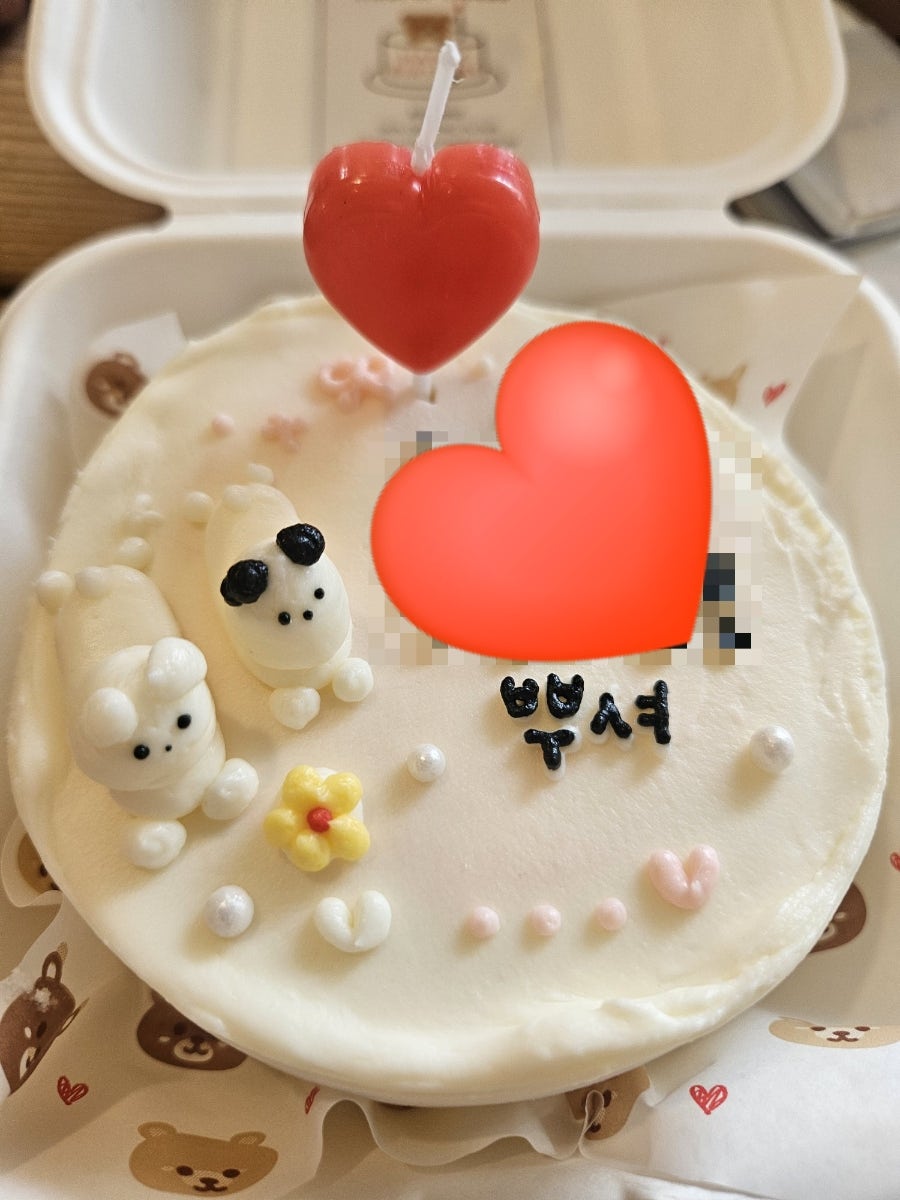 토라비 사진 6