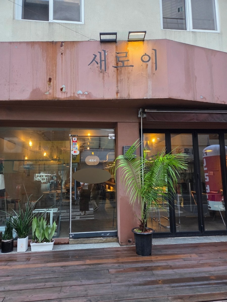 새로이 사진 3