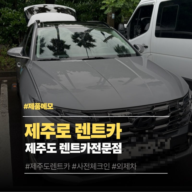 제주도 제주로렌트카 제주도애견동반렌트카 추천 코코랑 함께한 여름 제주여행, 렌트카 걱....