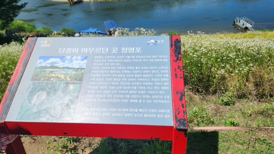 영월엄가 김인수할머니순두부 사진 3