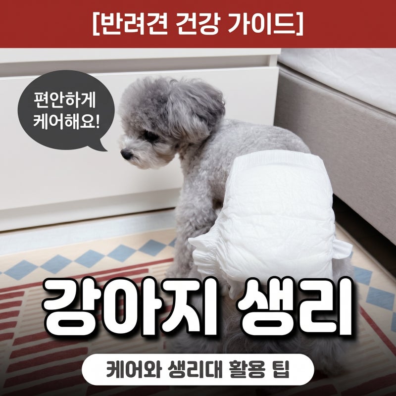 강아지 첫생리 생리통 증상과 강아지 생리 기간 주기 생리대 활용