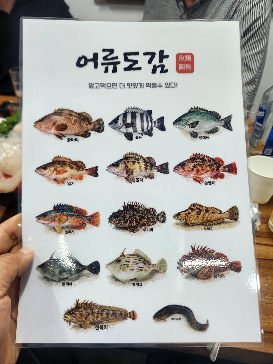 어류도감 사진 2
