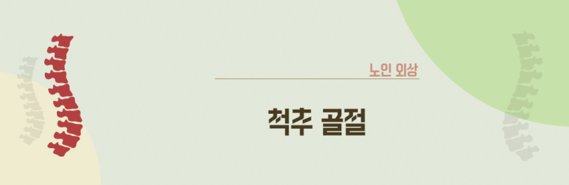 노인 외상 : 척추 골절 (Vertebral Fracture)