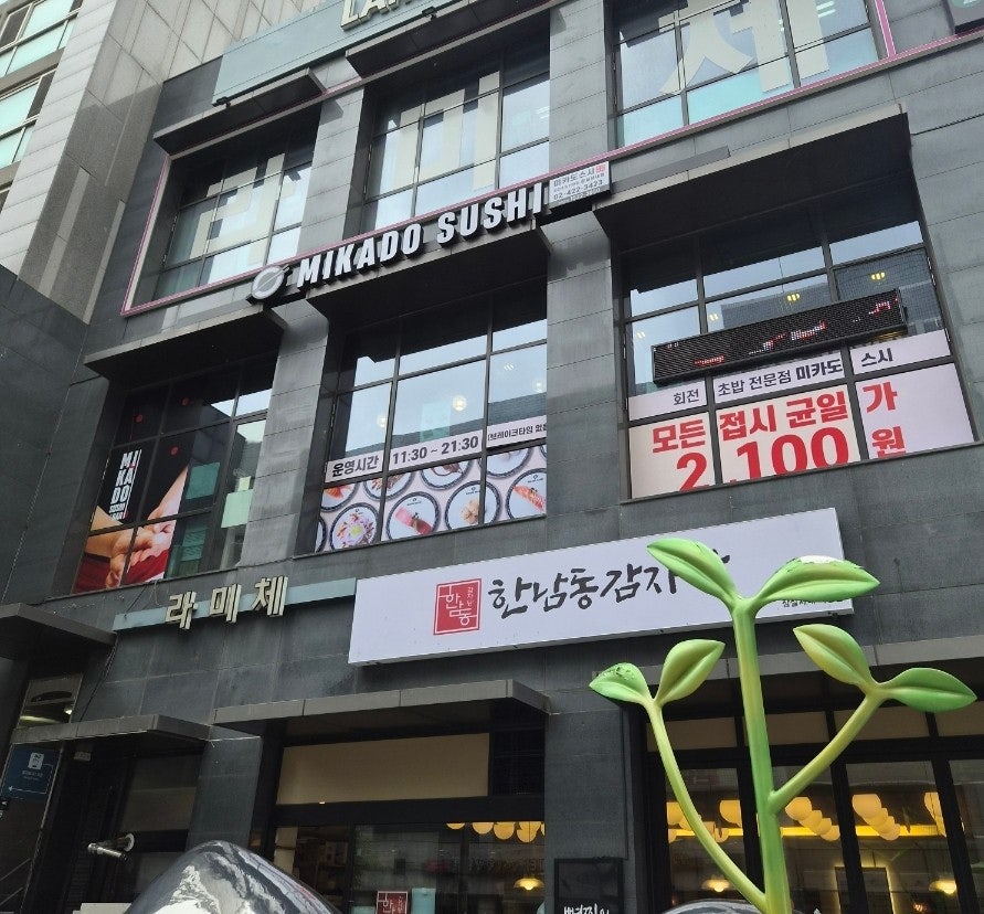 미카도스시 잠실새내점 사진 1