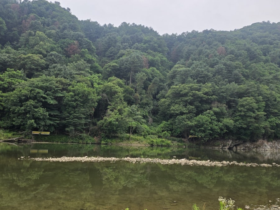 카페모모 사진 4
