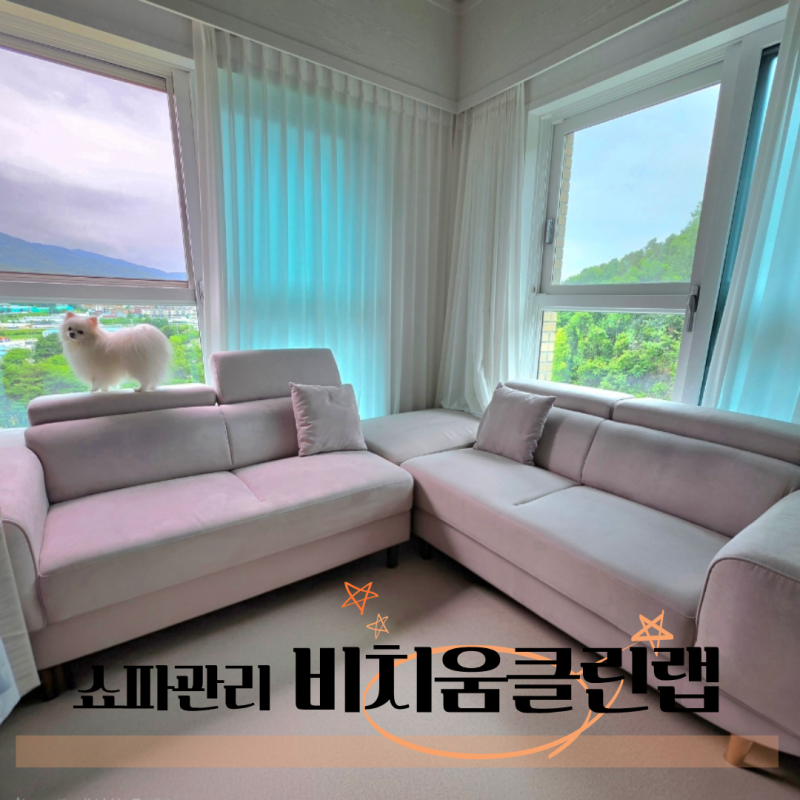 경기도광주 분당패브릭소파청소 비치움 클린랩 소파 케어 후기
