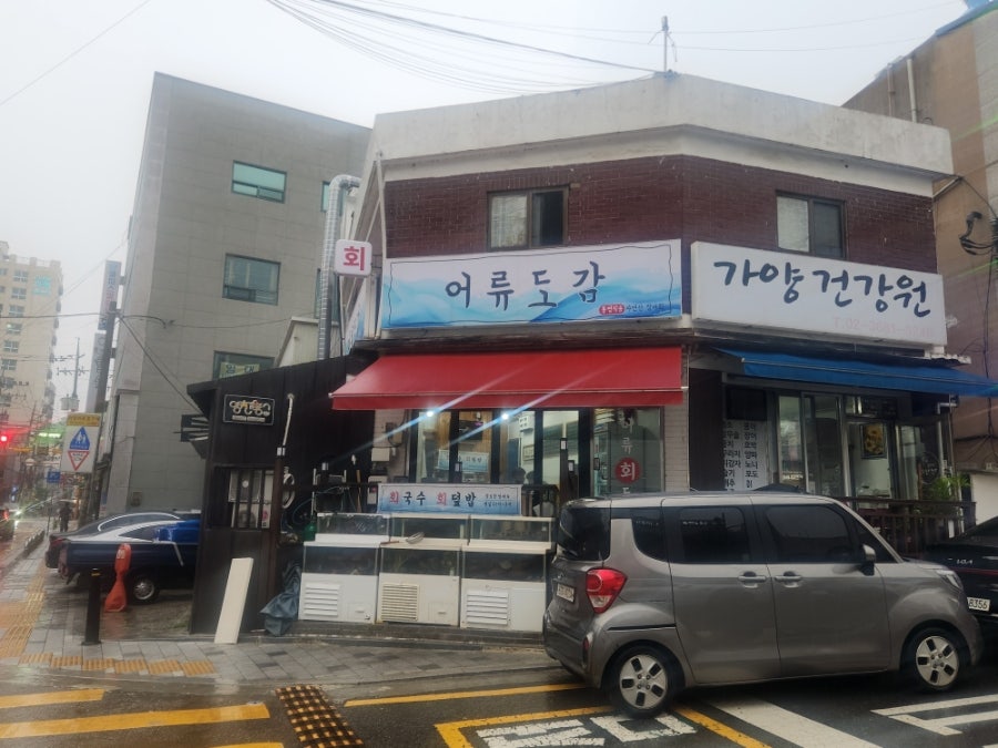 어류도감 사진 3