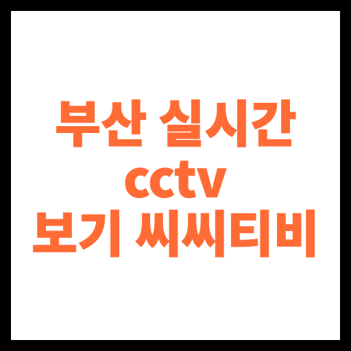 부산 실시간 cctv 보기 씨씨티비