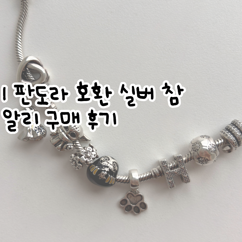 판도라 팔찌 참 추천 알리 호환 가능 실버 참 구매 후기