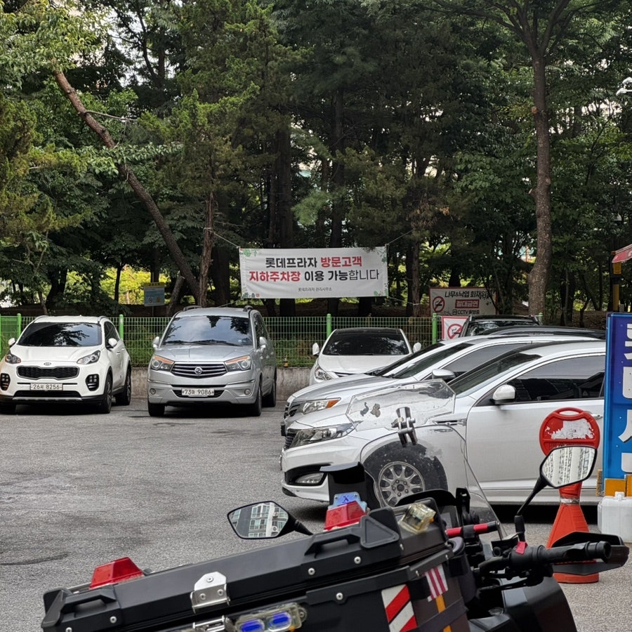 멜로피자 본점 사진 2