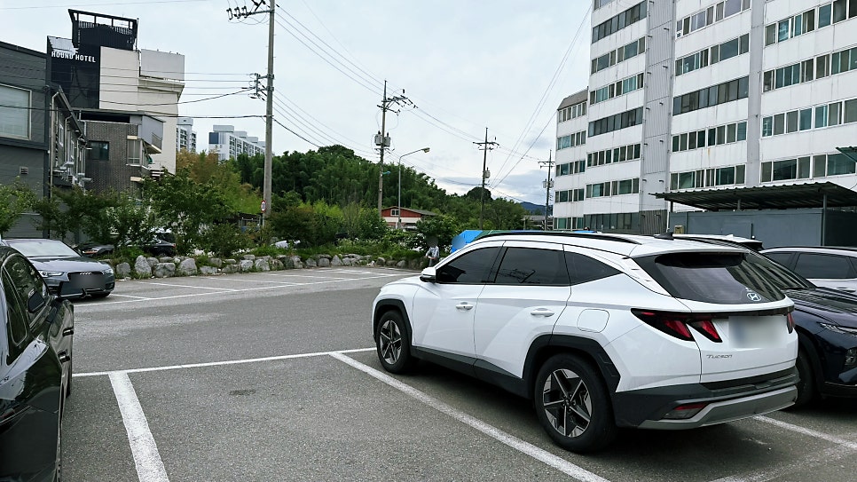 참사랑해물칼국수 사진 2