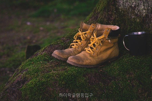 하이락 사진 5