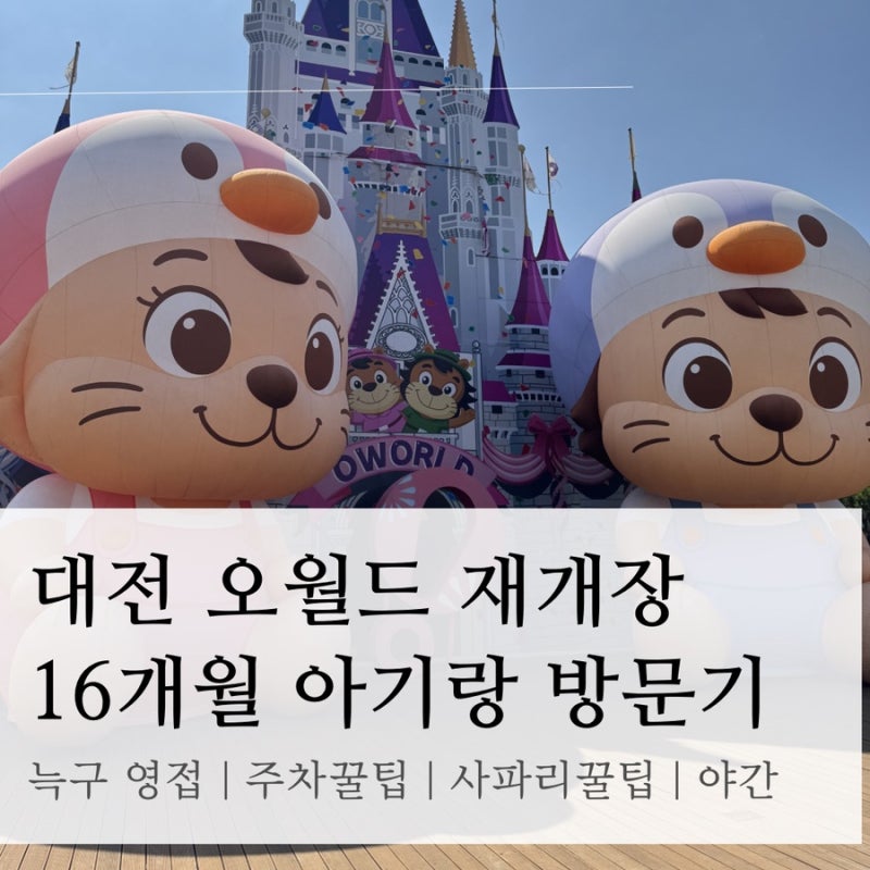대전 오월드 재개장 16개월 아기와 방문후기 | 늑구영접, 주차꿀팁, 사파리꿀팁, 야간개장, 수....