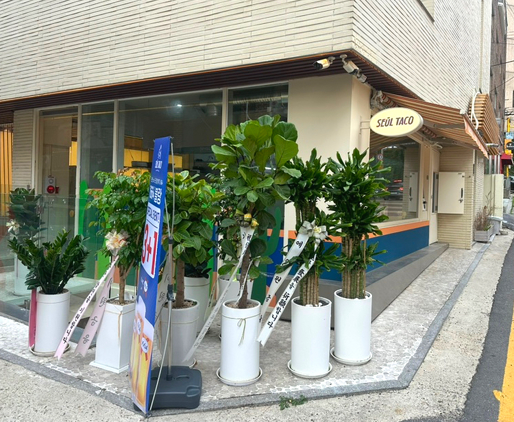 세울타코 사당점 사진 1