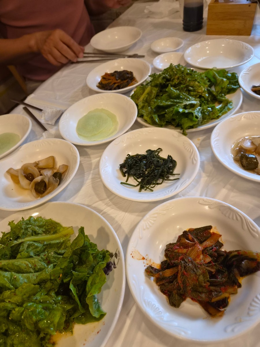 또오리 사진 5