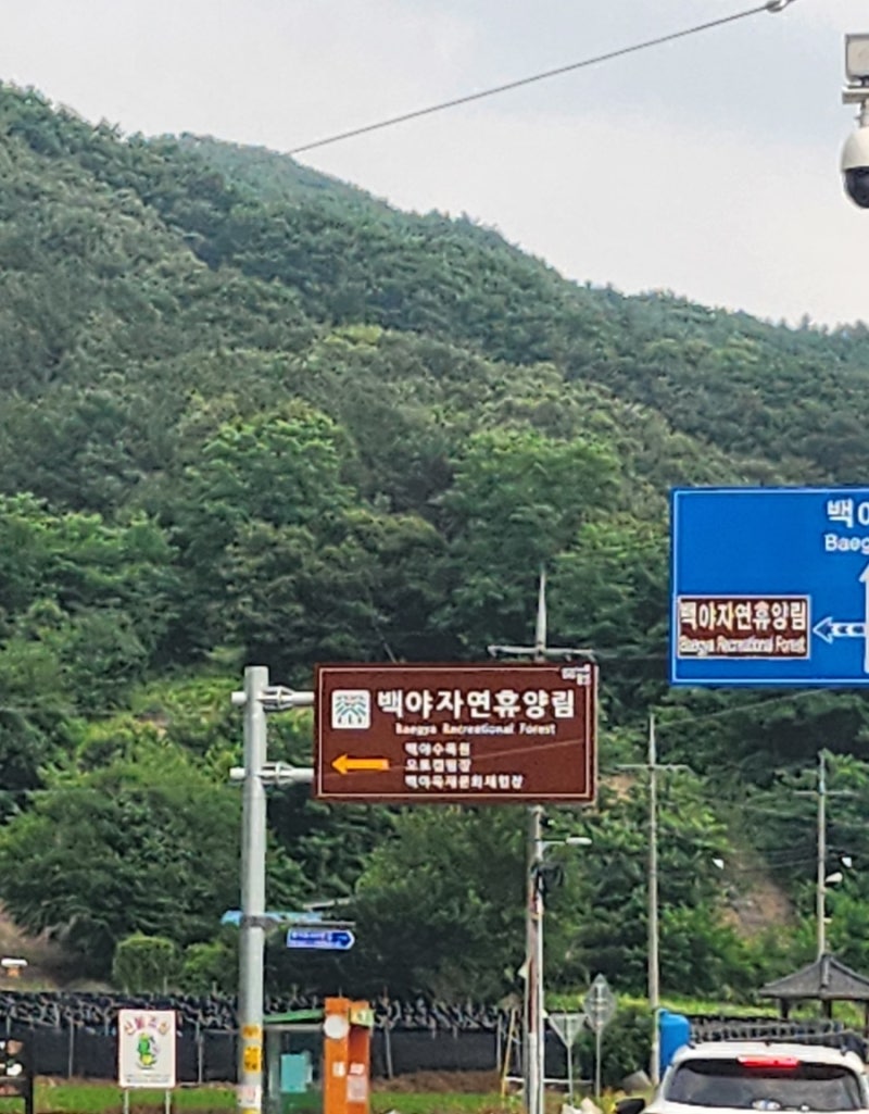 [충북음성] 백야자연휴양림