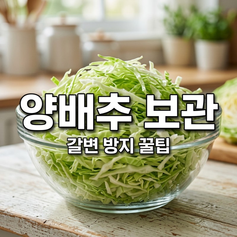 채 썬 양배추 소분 냉동 보관법 갈변 억제 폴리페놀 관리 꿀팁