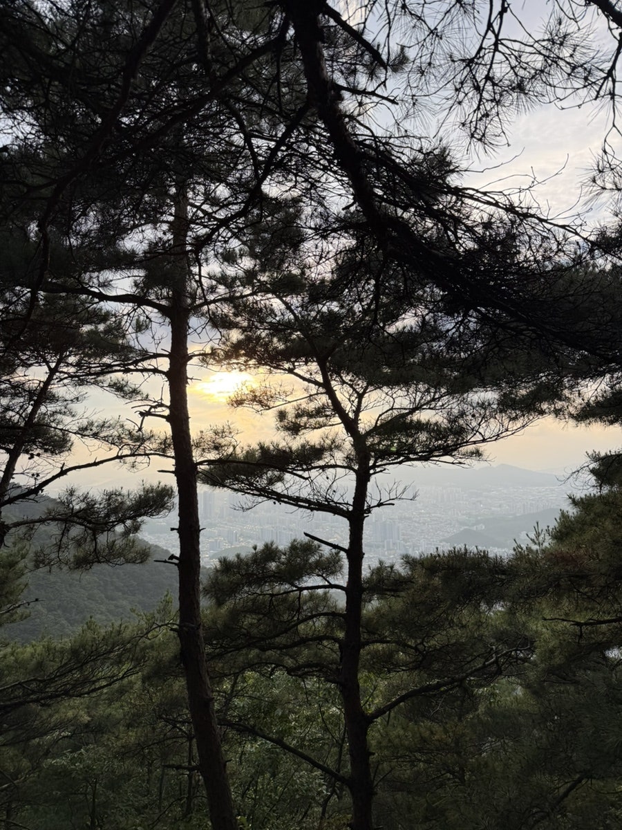 육솔 사진 3