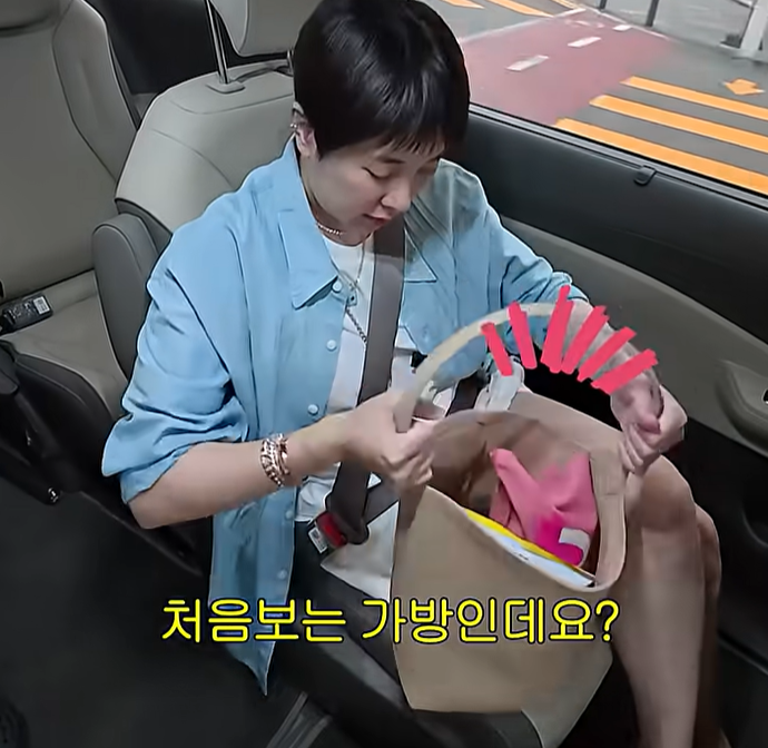 "이거 쿠팡에서 8만원이다"…서인영이 색깔별로 산가방 무엇이길래?