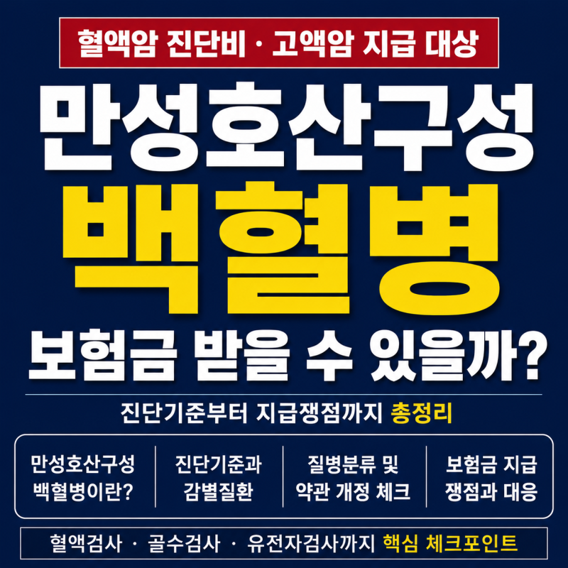 만성호산구성백혈병 보험금 분쟁, 무엇을 검토해야 할까?