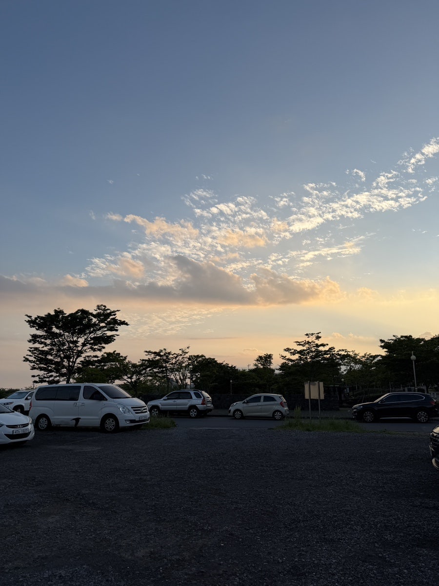 고근산흑돼지 사진 4