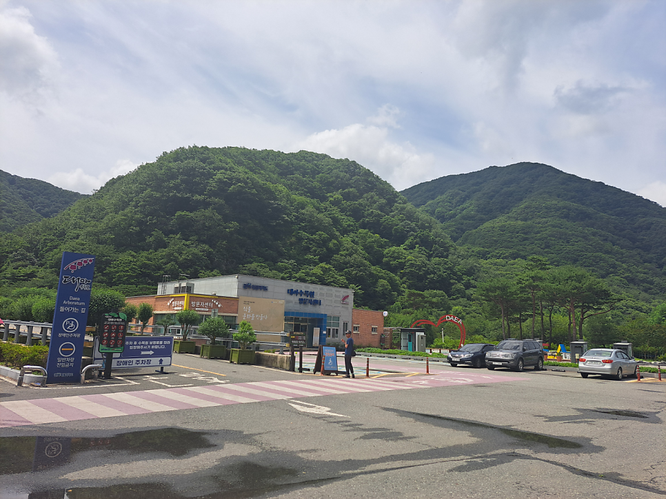 전북 대아수목원 수생식물원 사진 4