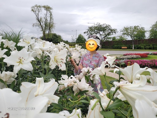 순천 1박2일 여행코스 통합입장권 할인 꿀팁 및 맛집 추천 (1일차)