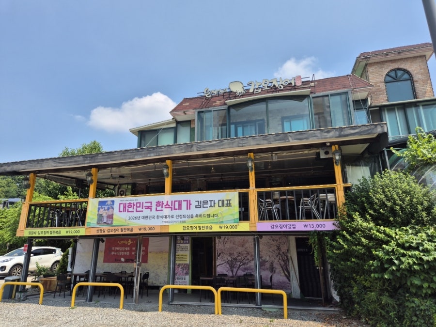 은자네갑오징어 사진 2