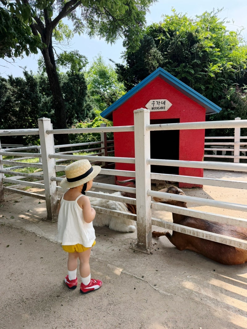 농도원목장 예약 성공 / 한 번에 성공한 꿀팁, 예약절차