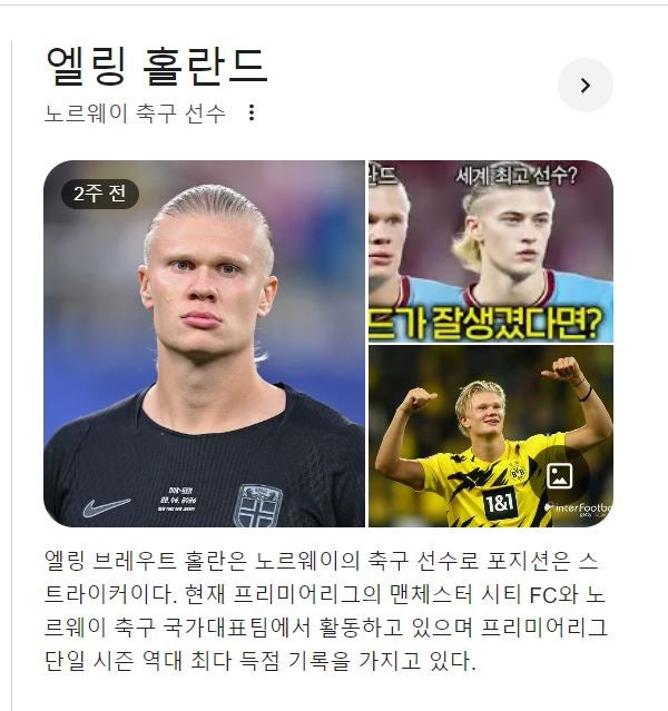 노르웨이 축구 선수-엘링 브레우트 홀란과 가족들-이 매력 어쩔겨...