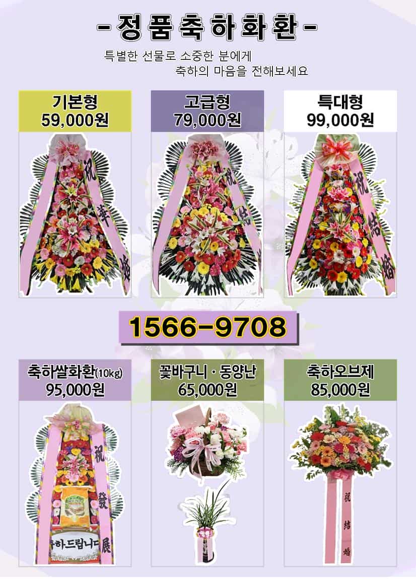 바른 사진 5