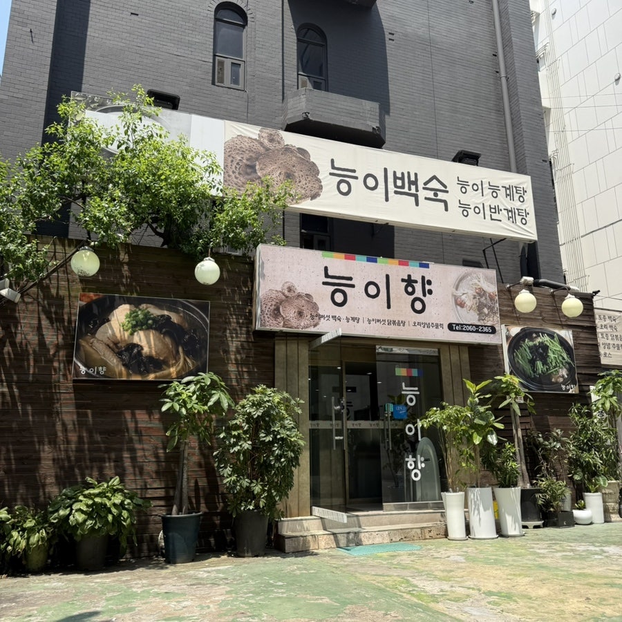 능이향 사진 2