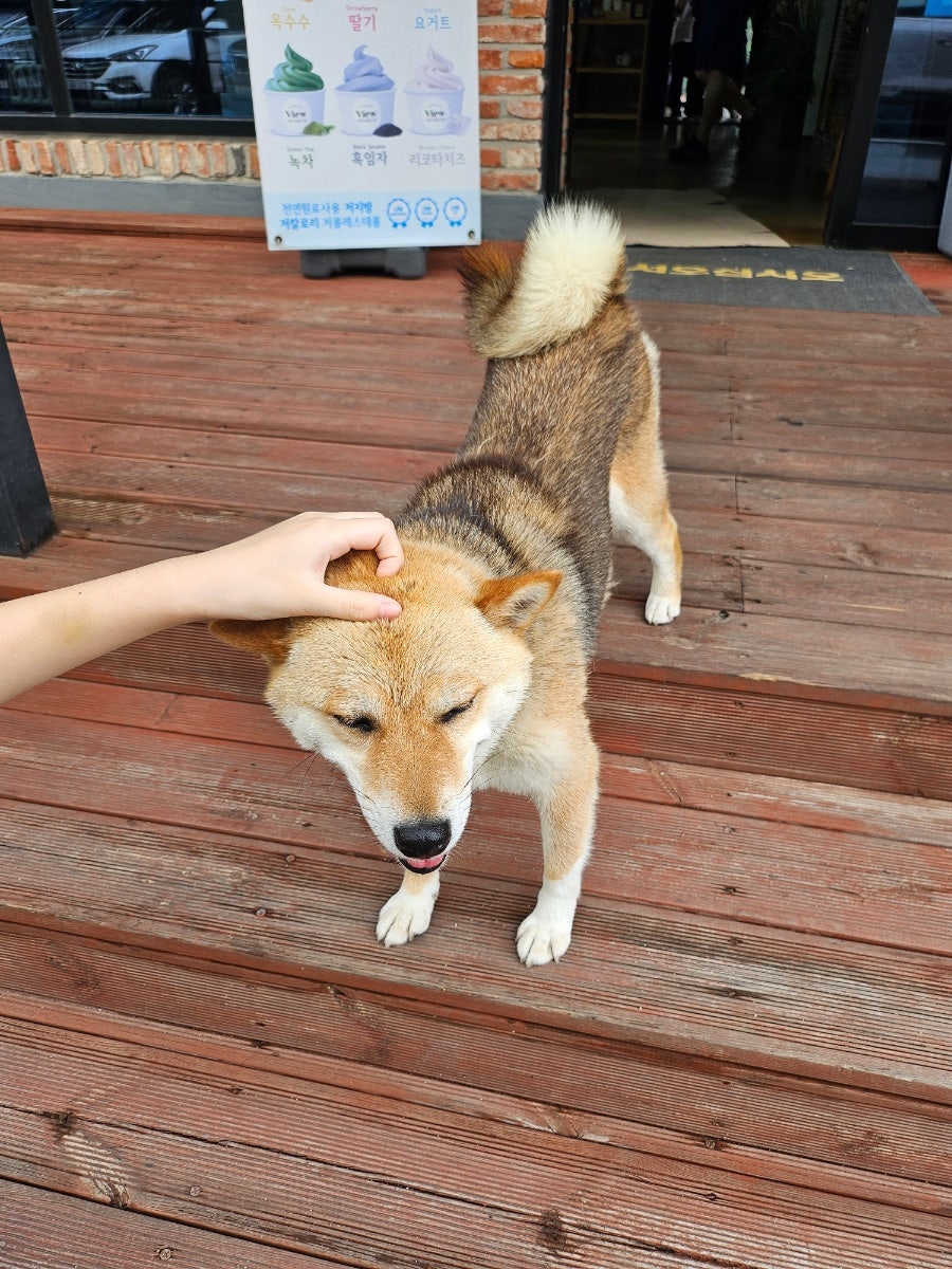 카페뷰 사진 3