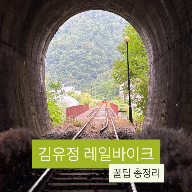 춘천 김유정 레일바이크 코스 소요시간 명당 | 강촌레일파크 꿀팁 총정리