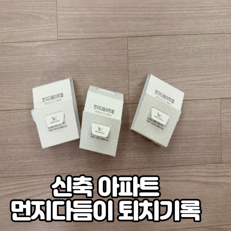 다시 찾아온 먼지다듬이 퇴치 후기(먼다트랩, 로보킬, 바닥 클리너 사용기)