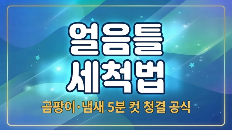 얼음틀 세척 식초로 끝! 얼음 트레이 소독하는 가장 쉬운 방법, 그냥 물로만 헹구면 배탈 납....